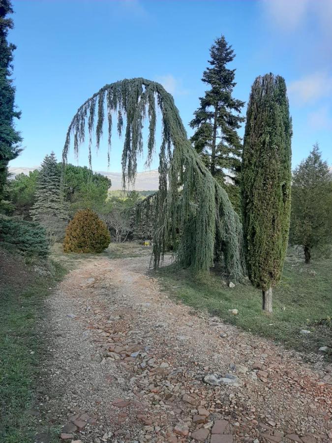 Отель Domaine De La Xavoliere Saint-Cezaire-sur-Siagne Экстерьер фото
