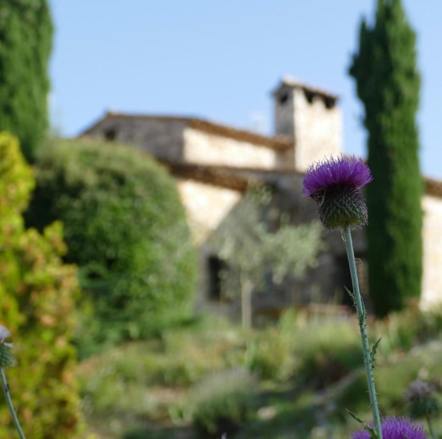 Отель Domaine De La Xavoliere Saint-Cezaire-sur-Siagne Экстерьер фото
